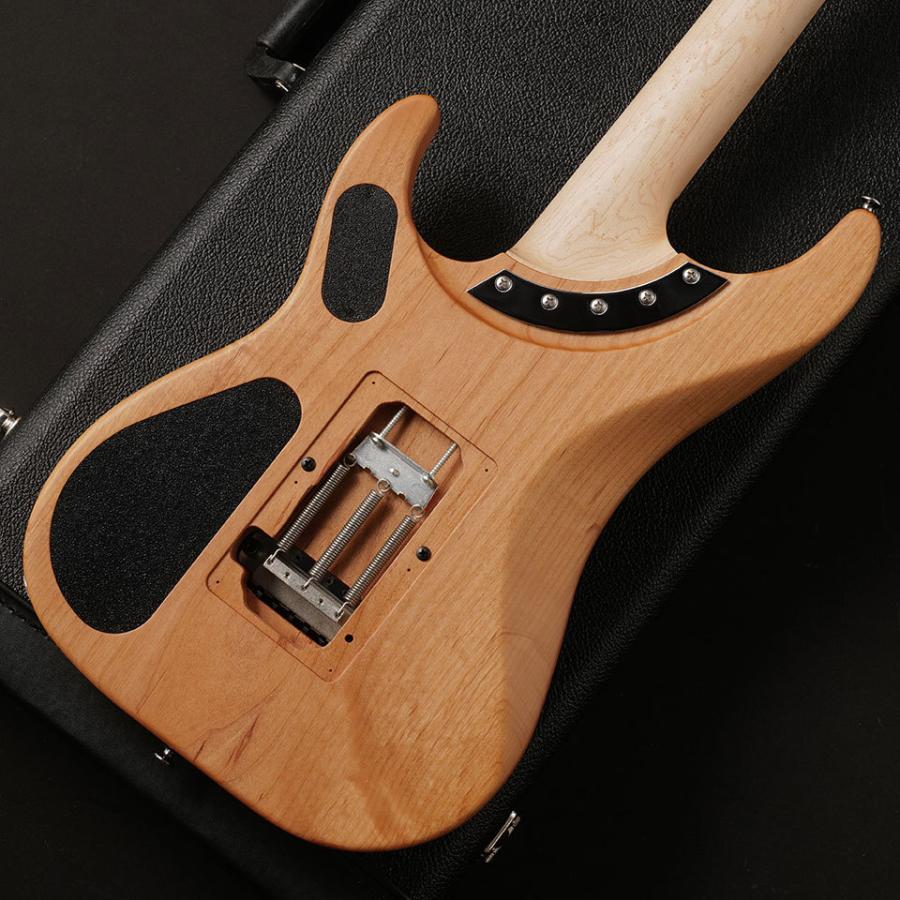 Washburn/N4-Nuno Burl Maple (Vintage Matte)【在庫あり】 : 宮地楽器
