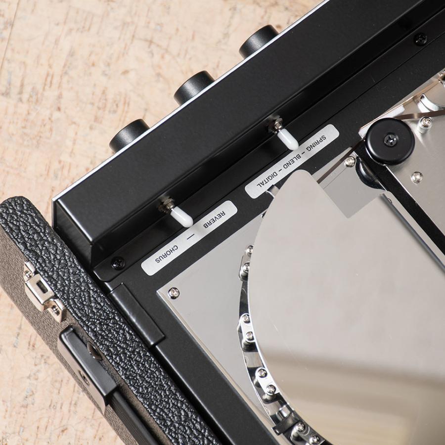 Echo Fix/EFX2 TAPE ECHO w/ Spring & DSP Reverb / Chorus (White Tolex