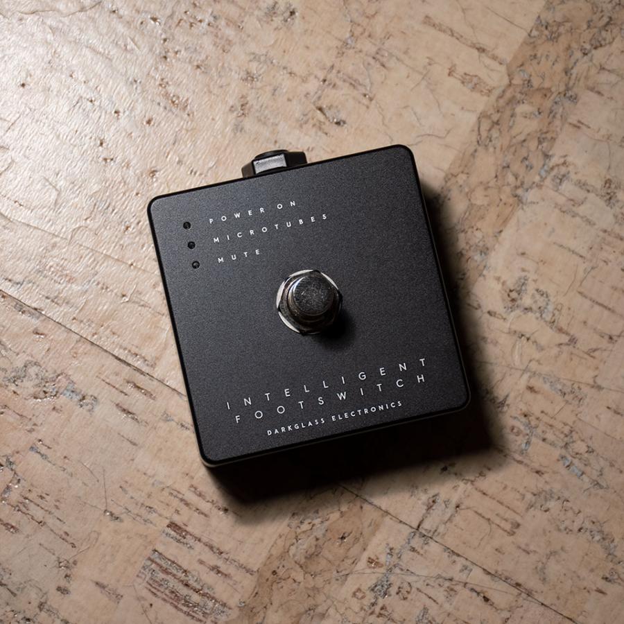 Darkglass Electronics/Microtubes 900 V2 Black【お取り寄せ商品