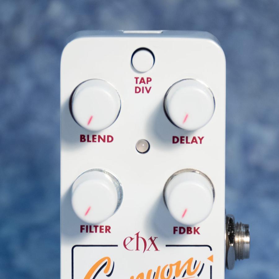 Electro-Harmonix/PICO CANYON ECHO【お取り寄せ商品】【送料無料