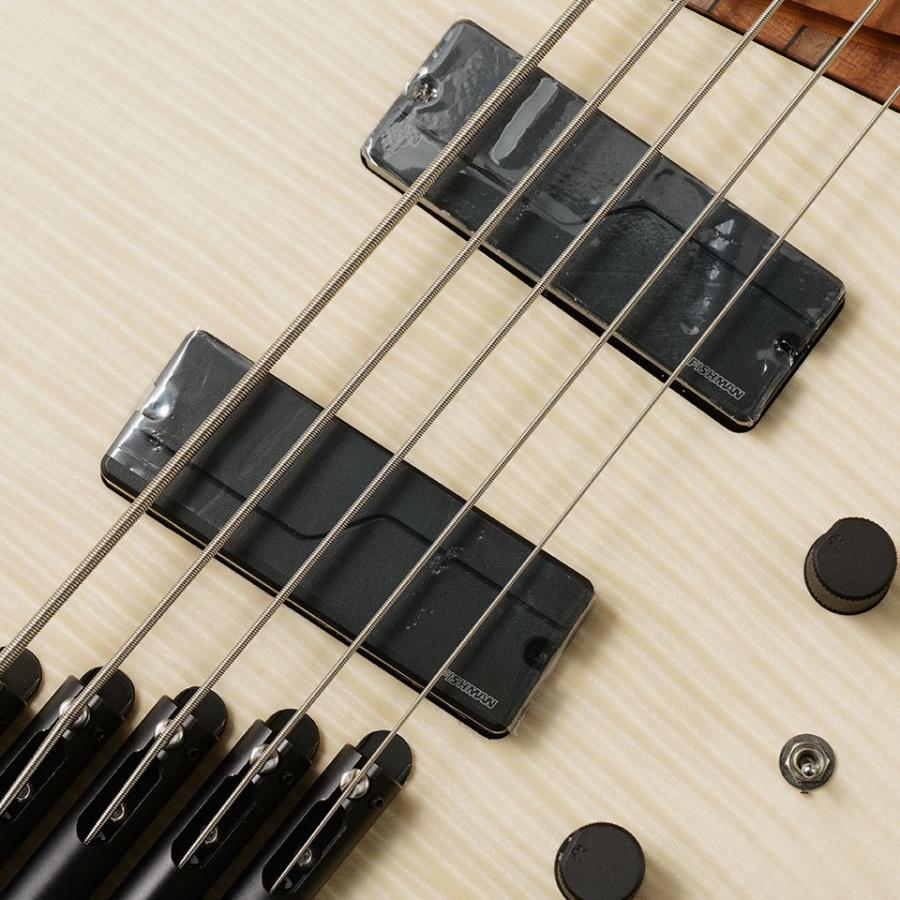 み*み様 strandberg Boden frog 5 Bass み*み様 strandberg Boden frog 5 Bass み*み様 strandberg