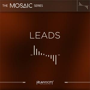 HEAVYOCITY/MOSAIC LEADS【オンライン納品】【棚卸し資産あり】 楽器、器材-DTM、DAW