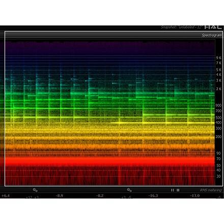 Flux::/FLUX:: Analyzer Session【オンライン納品】