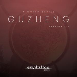 EVOLUTION SERIES/WORLD STRINGS GUZHENG 2.0【オンライン納品】【在庫あり】｜mmo