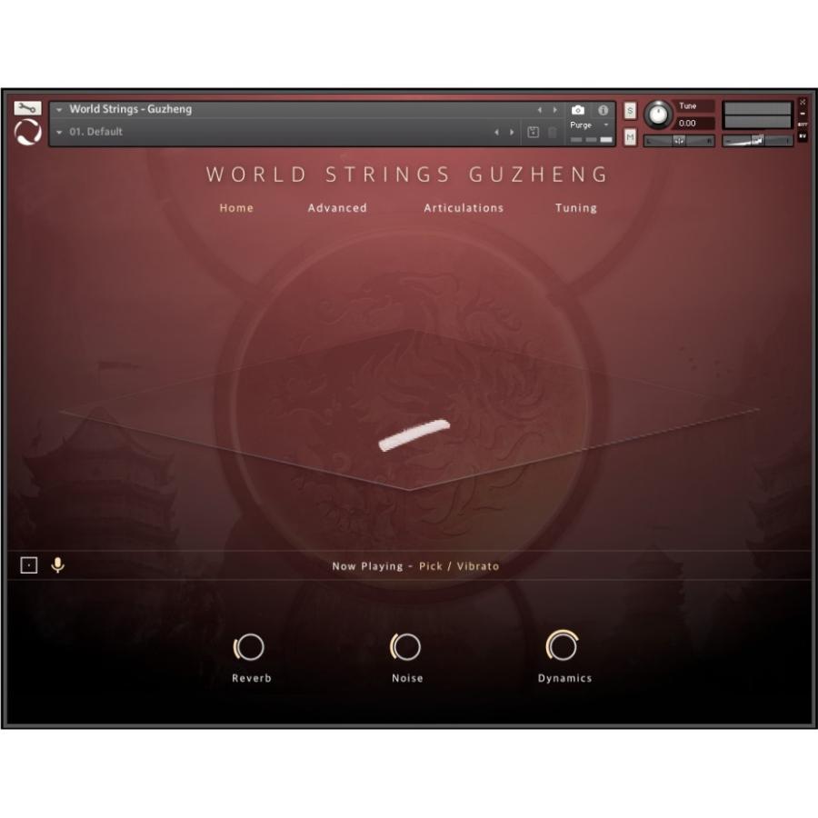 EVOLUTION SERIES/WORLD STRINGS GUZHENG 2.0【オンライン納品】【在庫あり】｜mmo｜02