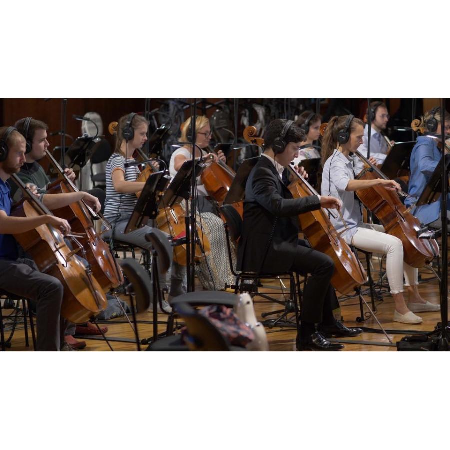 欲しいの ソフトウエア音源 コード販売 Bang Library Big Symphonic Vienna Orchestra 期間限定特価キャンペーン Zodiac オンライン納品 5 31 最新エルメス Applefaces Co