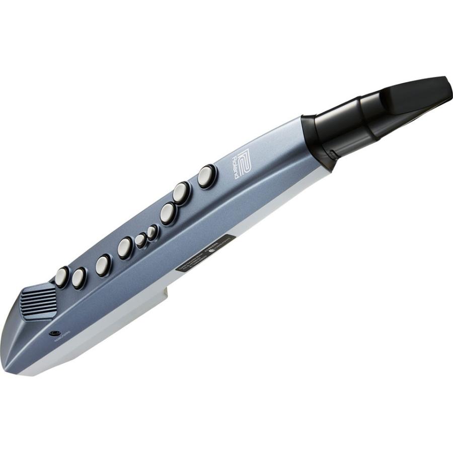 Roland/AE-01 Aerophone 【アンプ】 mini