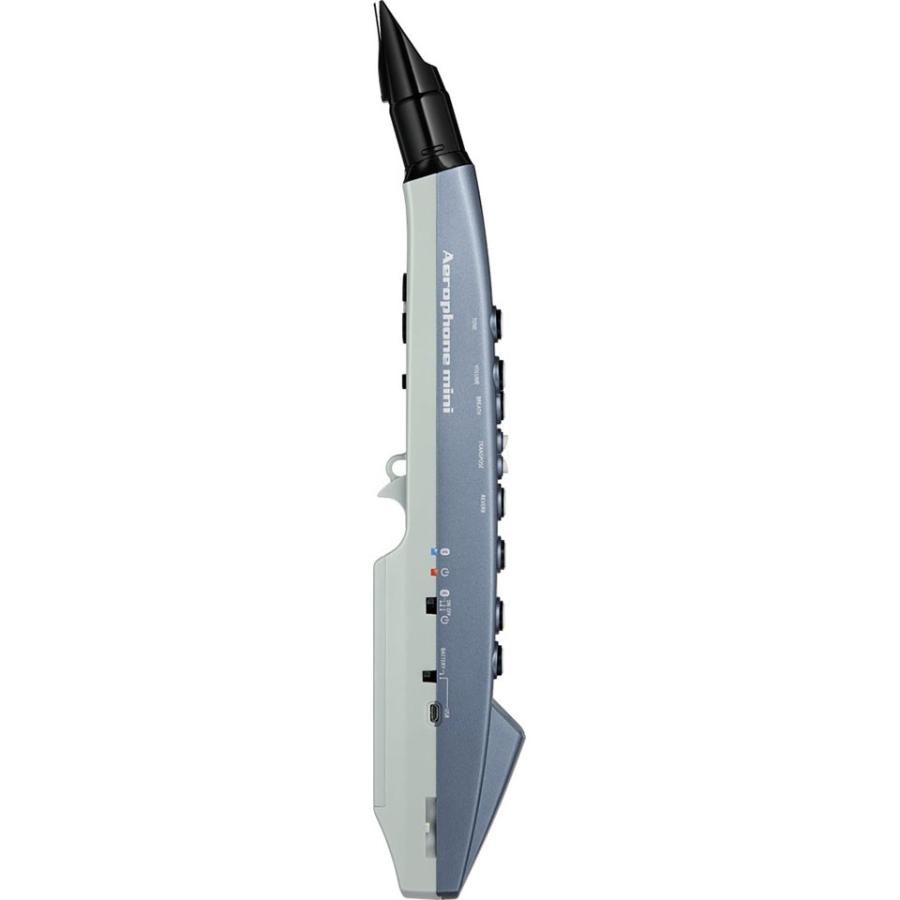 Roland/AE-01 Aerophone 【アンプ】 mini