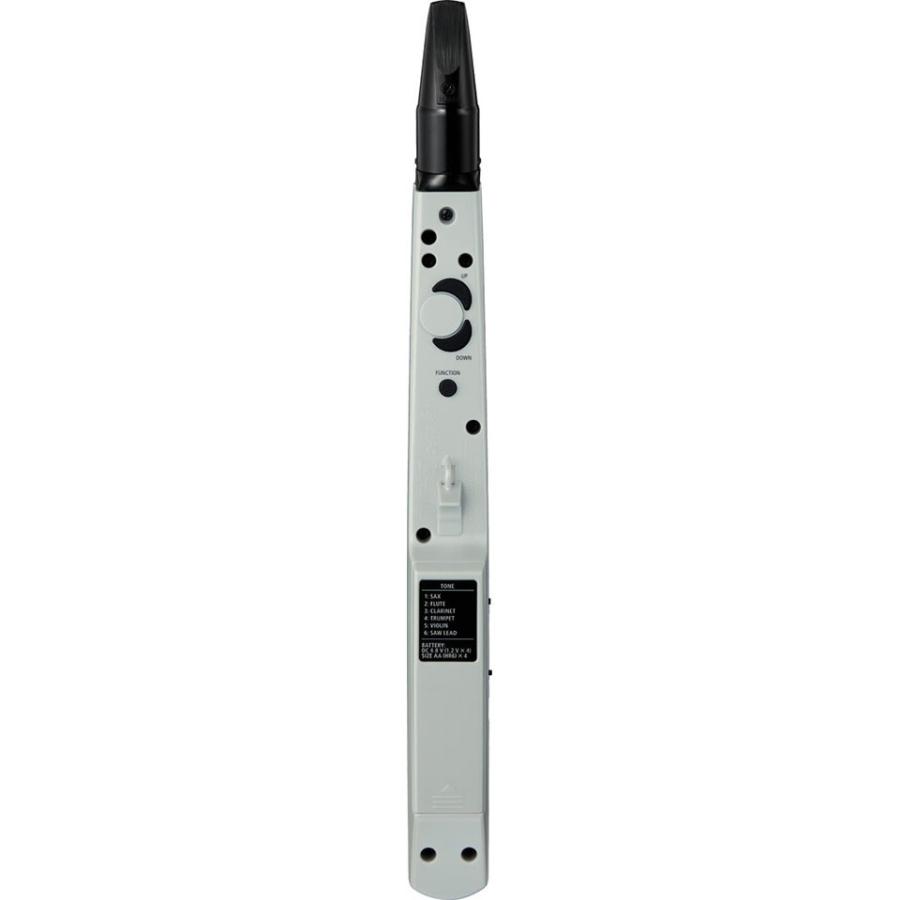 Roland/AE-01 Aerophone 【アンプ】 mini