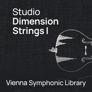 Vienna Symphonic Library/STUDIO DIMENSION STRINGS 1 DTM、DAW-楽器、手芸、コレクション