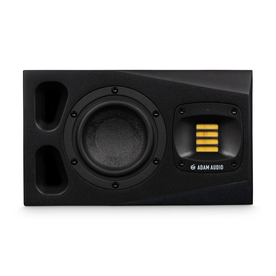 PROFESSIONAL 【バッテリー】 AUDIO/A4V (1本)