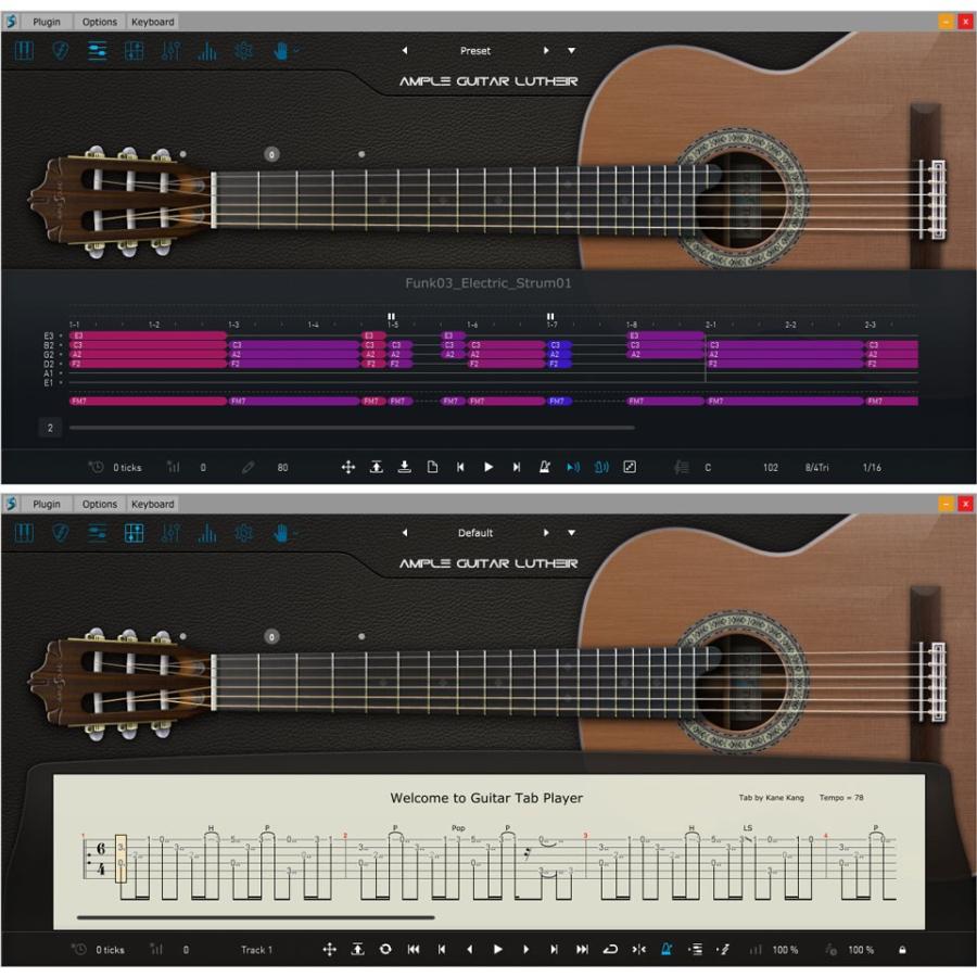 AMPLE SOUND/AMPLE GUITAR L III【オンライン納品】【在庫あり】｜mmo｜03