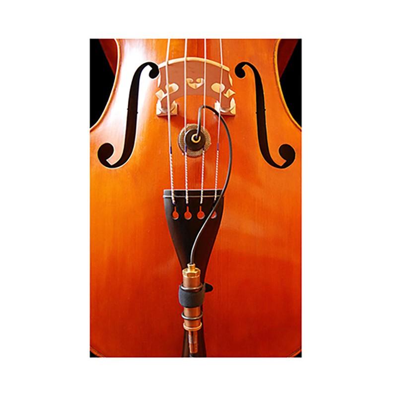 Ear Trumpet Labs/Nadine : 宮地楽器Yahoo!店 - 通販 - Yahoo!ショッピング