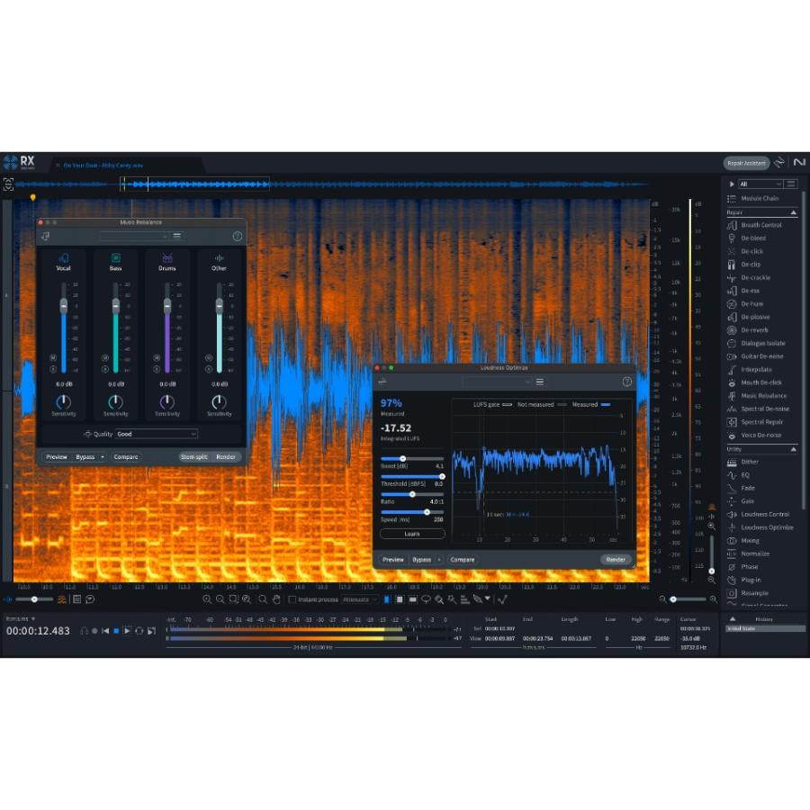 iZotope/RX 11 Standard【オンライン納品】【〜06/13 期間限定特価キャンペーン】｜mmo｜02