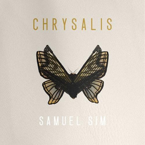 SPITFIRE AUDIO/SAMUEL SIM - CHRYSALIS【オンライン納品】【棚卸し資産あり】 DTM、DAW-楽器、手芸、コレクション-楽器、器材