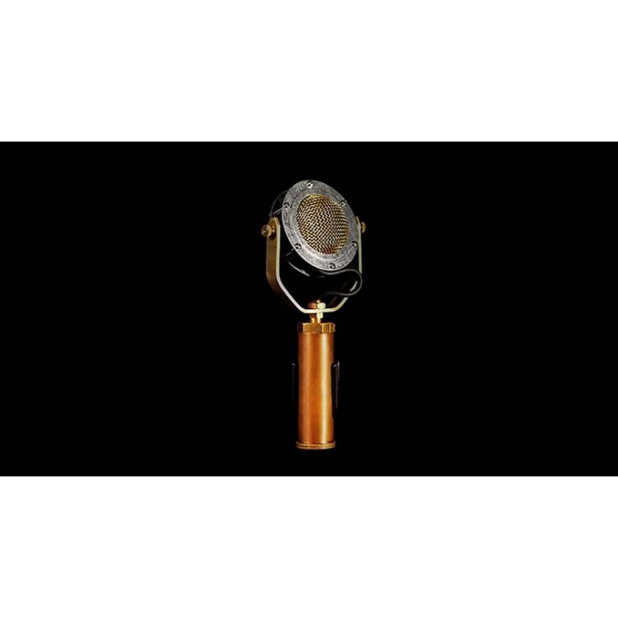 Ear Trumpet Labs/Delphina : 宮地楽器Yahoo!店 - 通販 - Yahoo