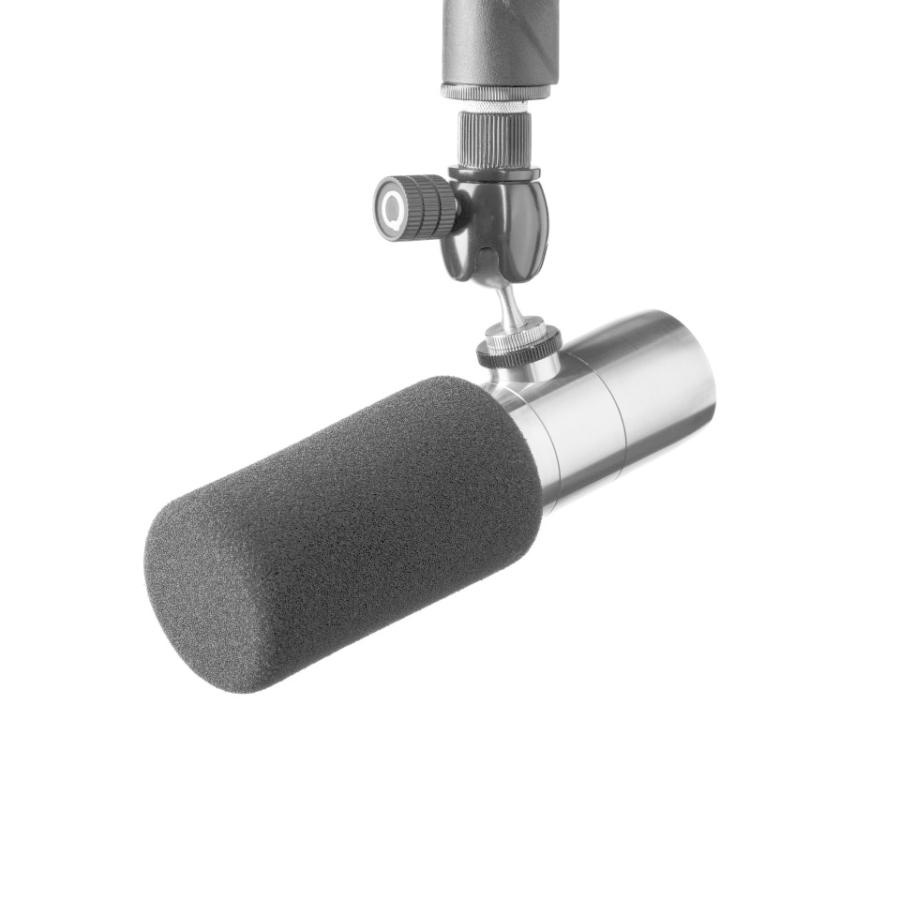 配信機器・PA機器・レコーディング機器 Earthworks ETHOS Stainless Steel Earthworks アースワークス ETHOS Stainless Steel ◇ エソス