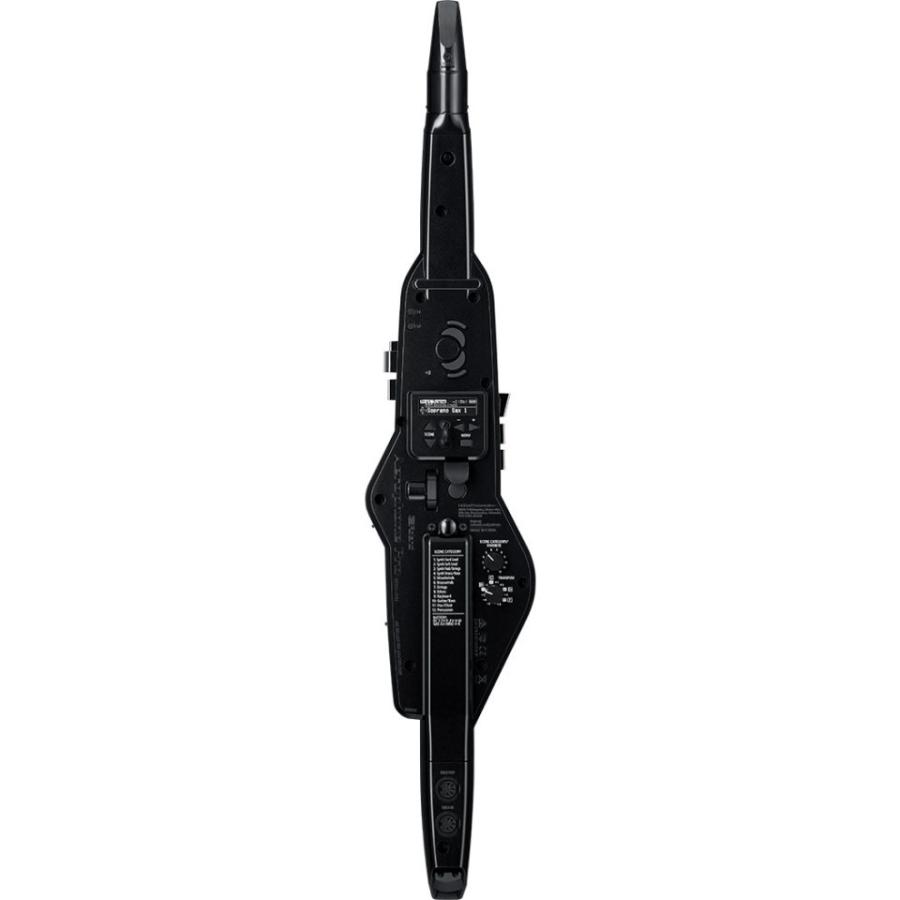 Roland/AE-30 Aerophone Pro エアロフォン : 宮地楽器Yahoo!店 - 通販