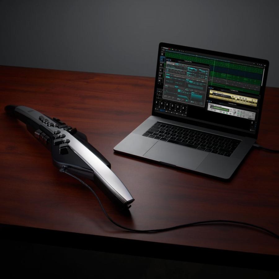 Roland/AE-30 Aerophone Pro エアロフォン : 宮地楽器Yahoo!店 - 通販
