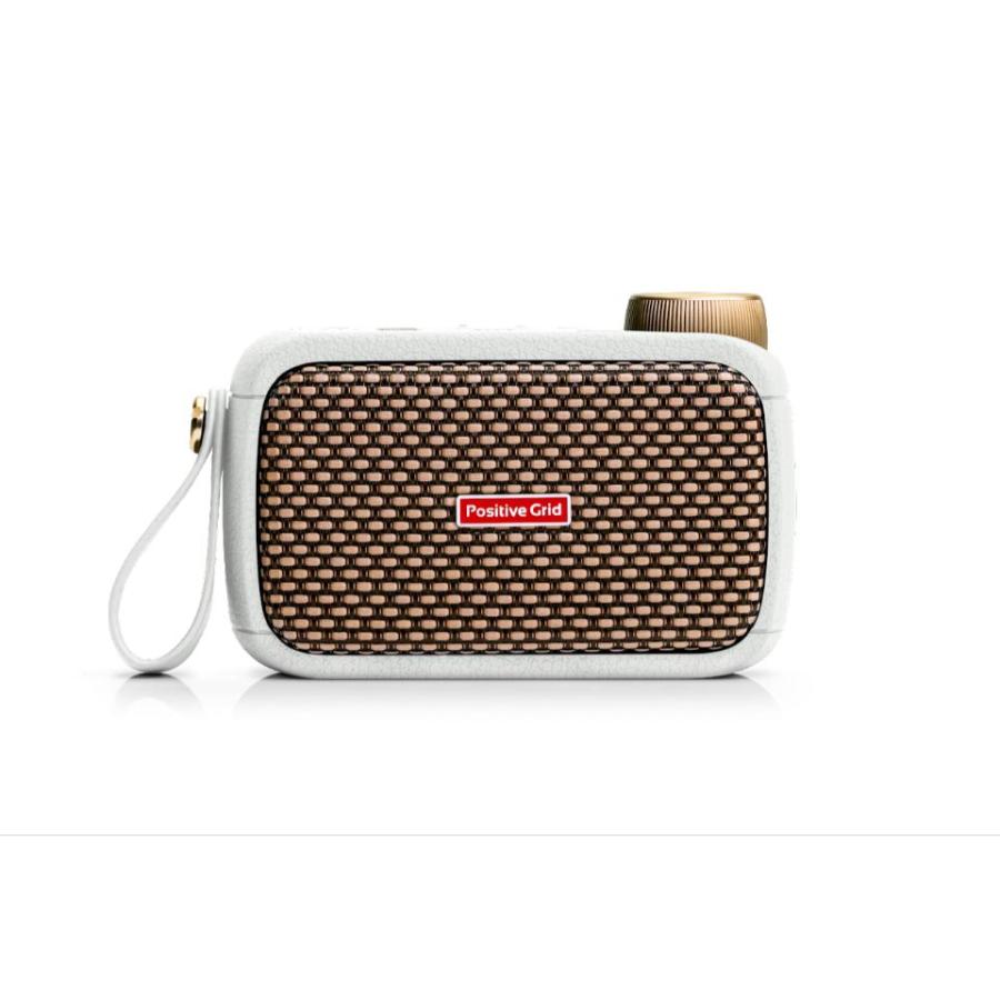 売り切れ】 positive grid spark go