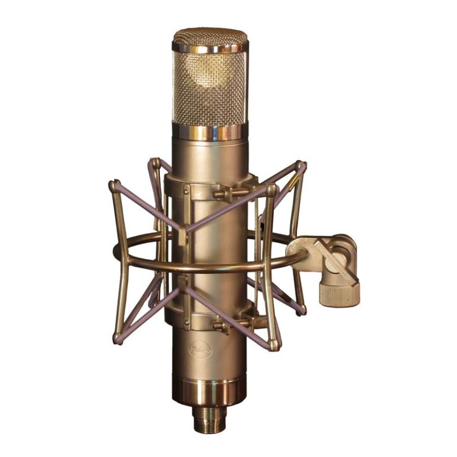 Peluso/P-12 : 宮地楽器Yahoo!店 - 通販 - Yahoo!ショッピング