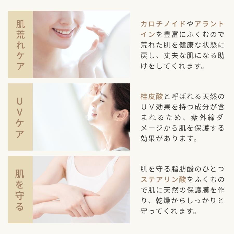 シアバター・精製・オーガニック／50g 無添加 植物性 保湿 敏感肌 ベビー リップクリーム ハンドクリーム ボディークリーム |  | 09