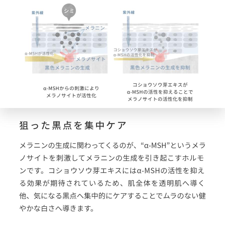 コショウソウ芽エキス／3ml 美白ケア くすみ 黒点 化粧水 ローション セラム 美容液 原液 手作り コスメ 化粧品 原料 材料 爆買 |  | 04
