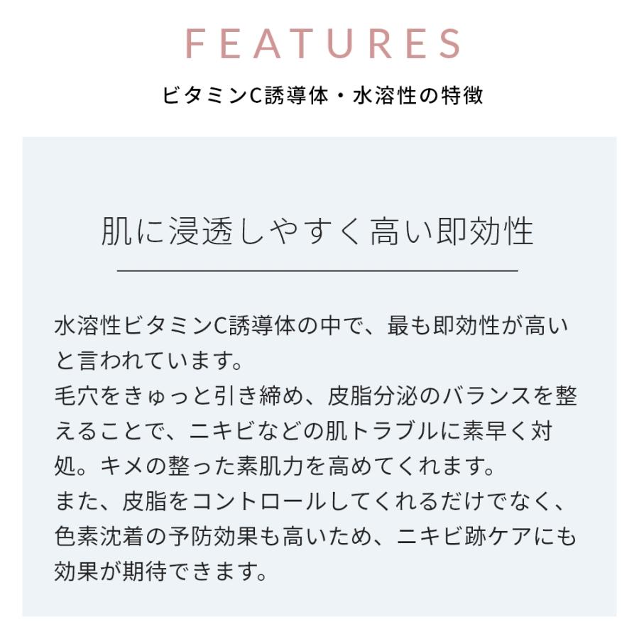 ビタミンC誘導体・水溶性／5g エイジングケア たるみ 透明感 くすみ 黒点 化粧水 アスコルビン酸 爆買 |  | 04