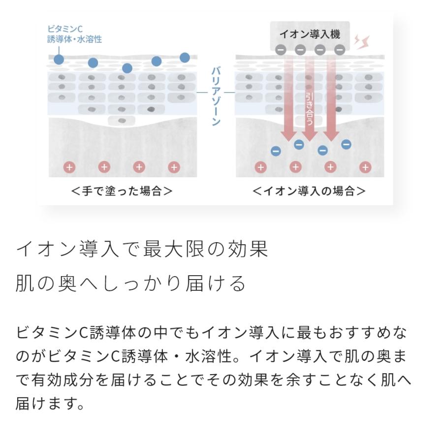 ビタミンC誘導体・水溶性／5g エイジングケア たるみ 透明感 くすみ 黒点 化粧水 アスコルビン酸 爆買 |  | 06