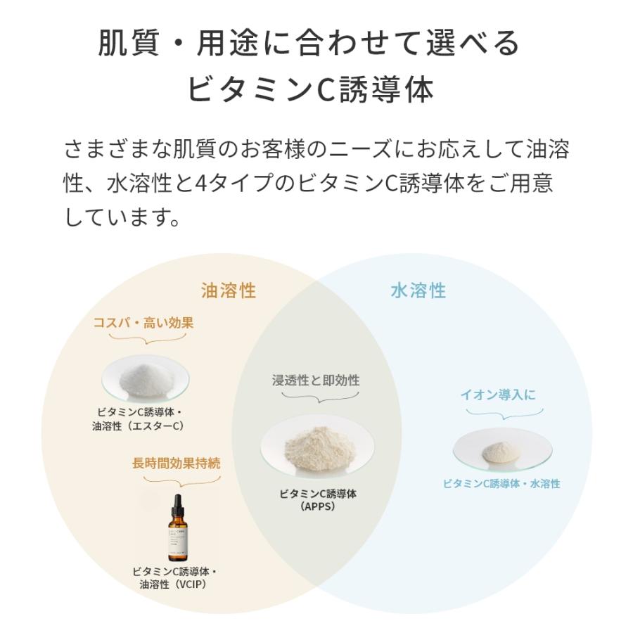 ビタミンC誘導体・水溶性／5g エイジングケア たるみ 透明感 くすみ 黒点 化粧水 アスコルビン酸 爆買 |  | 07