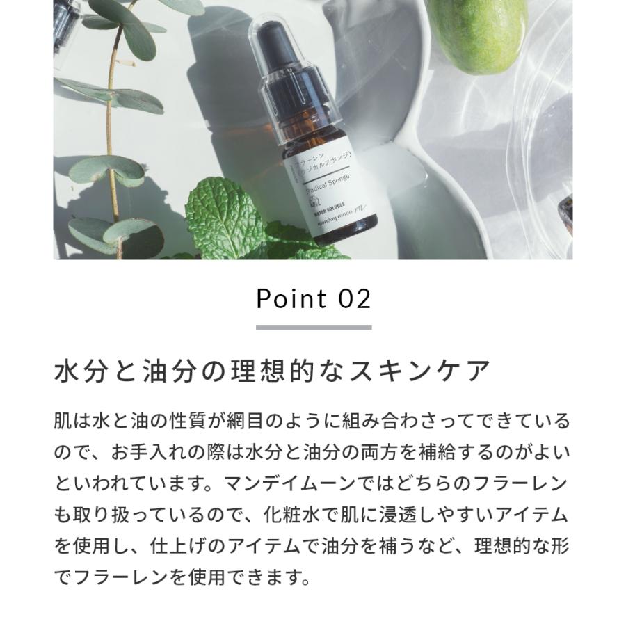 フラーレン・水溶性（ラジカルスポンジ）／3ml 年齢肌 ハリ たるみ 化粧水 ローション セラム 美容液 原液 手作りコスメ 爆買 |  | 08