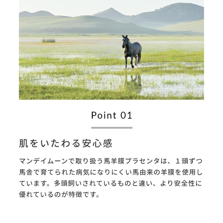 10%OFF 馬羊膜プラセンタ／3ml しわ たるみ 肌荒れ 化粧水 美容液 手作りコスメ 化粧品 原料 材料 素材フェイス ボディ 爆買 母の日 |  | 07