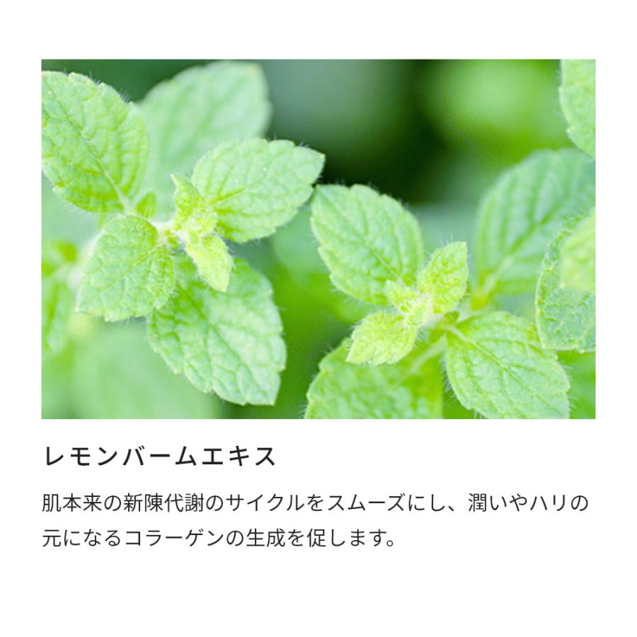 P10倍 スムーススキンエキス／3ml 毛穴 黒ずみ 開き すっきり 美容液 原液 透明感 手作り コスメ 化粧水 化粧品 原料 材料 爆買 |  | 07