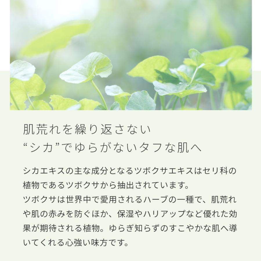 P10倍 シカエキス(ツボクサ)／10ml 100%天然 無添加 植物性 CICA 保湿