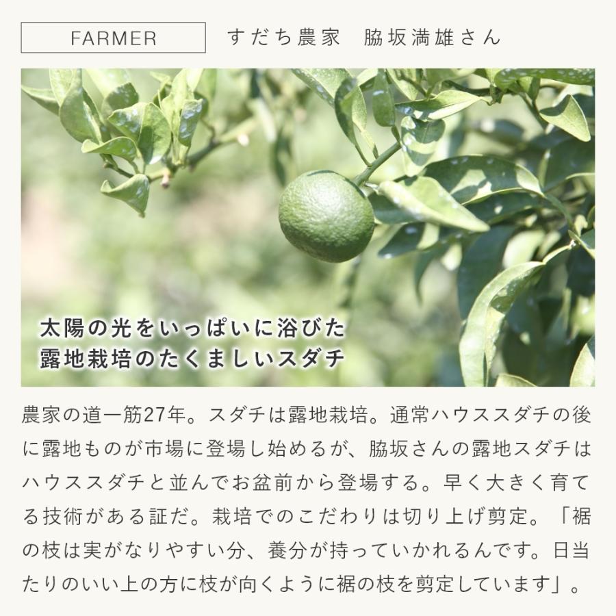 スダチ エッセンシャルオイル 5ml メール便0円 アロマ エッセンシャルオイル 天然 100 すだち シトラス 柑橘 国産 高品質 酢橘 0739 005 マンデイムーン 通販 Yahoo ショッピング