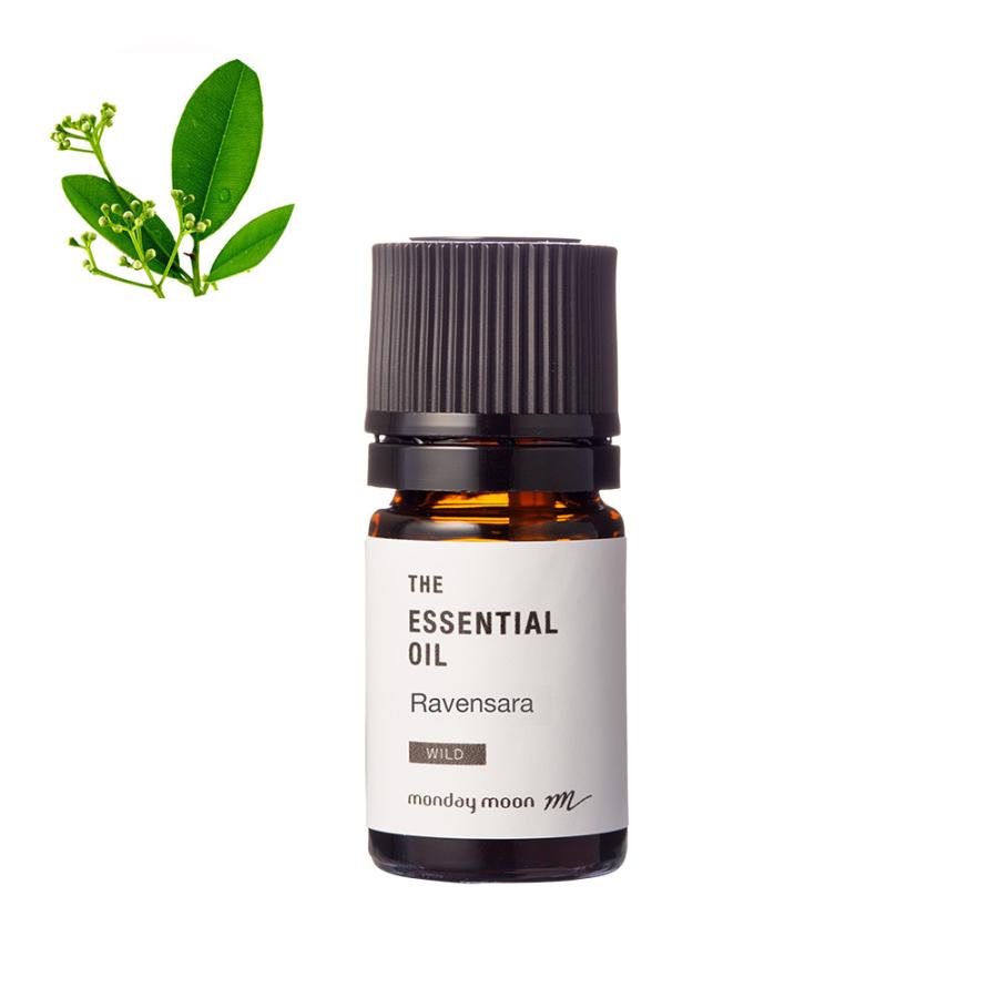 P5倍 ラベンサラ・エッセンシャルオイル・野生種／5ml 100% 天然 植物 精油 アロマ オイル 香りの木 ハーブ 爆買 | 