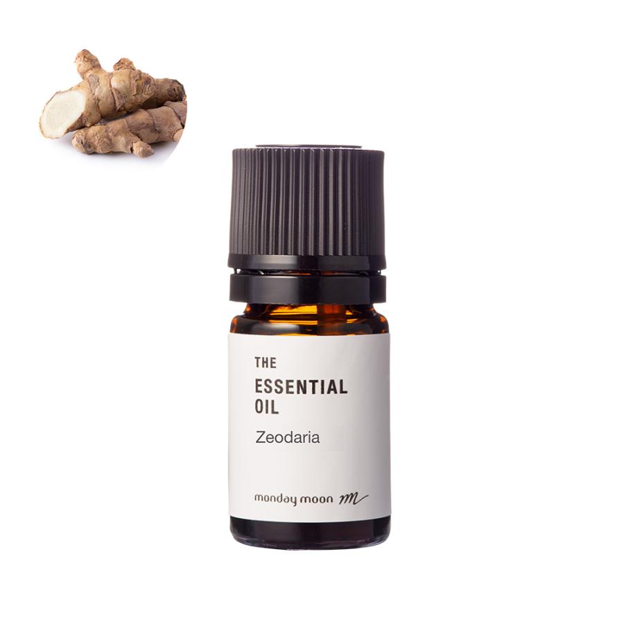 P5倍 ガジュツ・エッセンシャルオイル／5ml 100% ピュア 天然 植物 リラックス 高品質 無添加 精油 アロマ オイル 爆買 | 