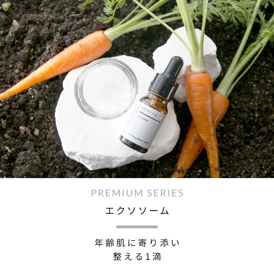 P10倍 エクソソーム／10ml 化粧品 原料 原液 エッセンス 年齢肌ケア
