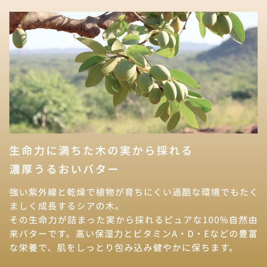 10%OFF シアバター・未精製・オーガニック／30g 無添加 植物性 保湿 乾燥肌 リップ ハンド ボディー クリーム 手作り コスメ 爆買 |  | 03