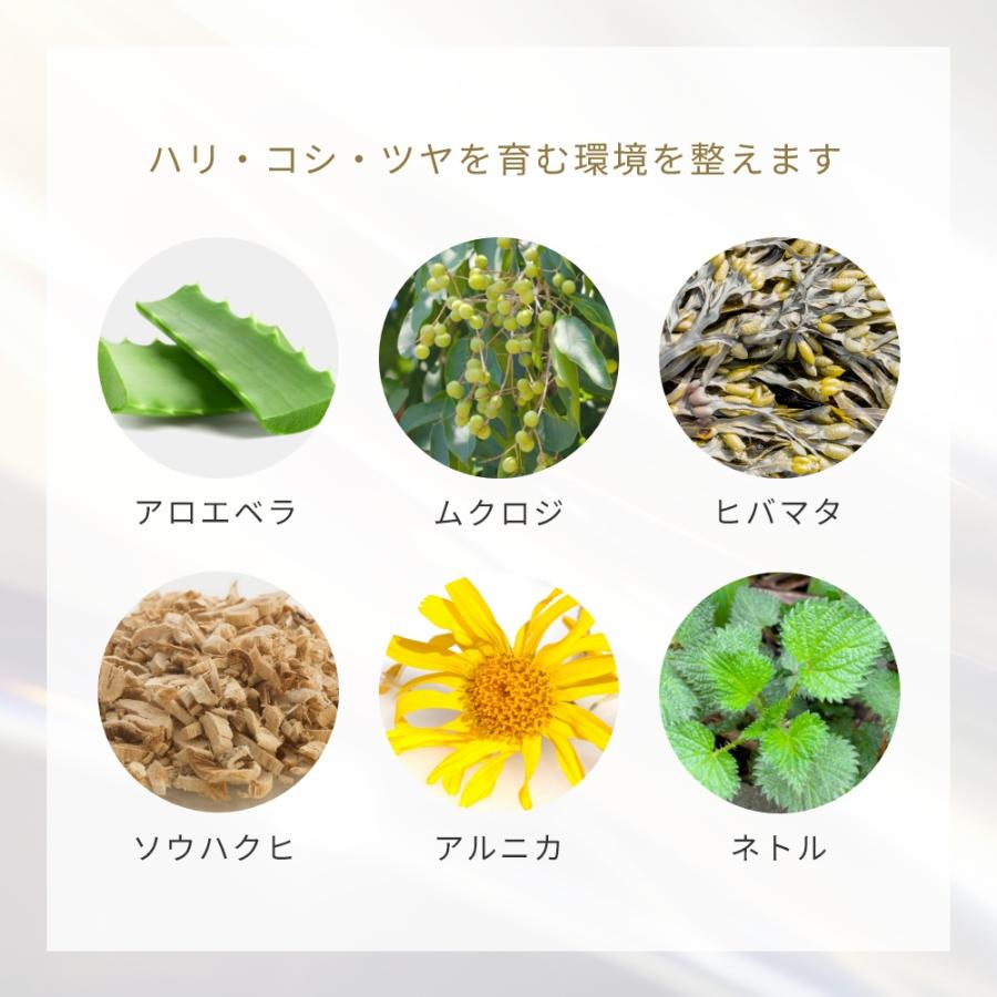 エアカクテル シャンプー／30ml メール便送料無料 おすすめ ハリ コシ ツヤ ボリューム アップ パサつき ヘアケア ノンシリコン 爆買 まとまり |  | 10