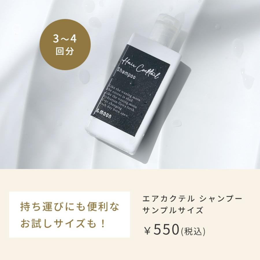 エアカクテル シャンプー／30ml メール便送料無料 おすすめ ハリ コシ ツヤ ボリューム アップ パサつき ヘアケア ノンシリコン 爆買 まとまり |  | 16
