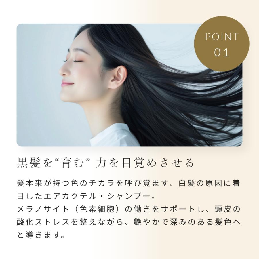エアカクテル シャンプー／30ml メール便送料無料 おすすめ ハリ コシ ツヤ ボリューム アップ パサつき ヘアケア ノンシリコン 爆買 まとまり |  | 06