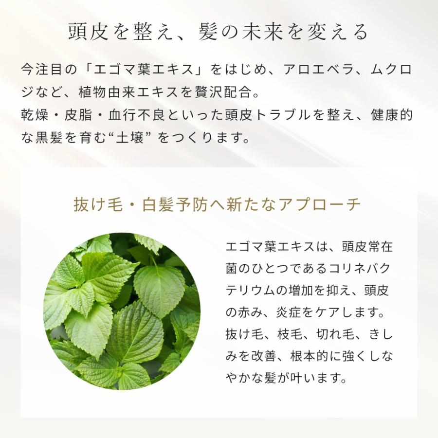 エアカクテル シャンプー／30ml メール便送料無料 おすすめ ハリ コシ ツヤ ボリューム アップ パサつき ヘアケア ノンシリコン 爆買 まとまり |  | 09
