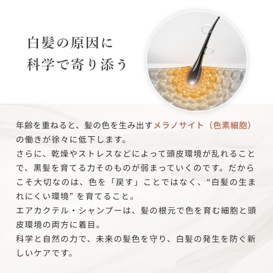 エアカクテル シャンプー／300ml ハリ コシ ツヤ ボリューム アップ パサつき ヘアケア ノンシリコン アミノ酸系 人気 天然 爆買  頭皮ケア |  | 03