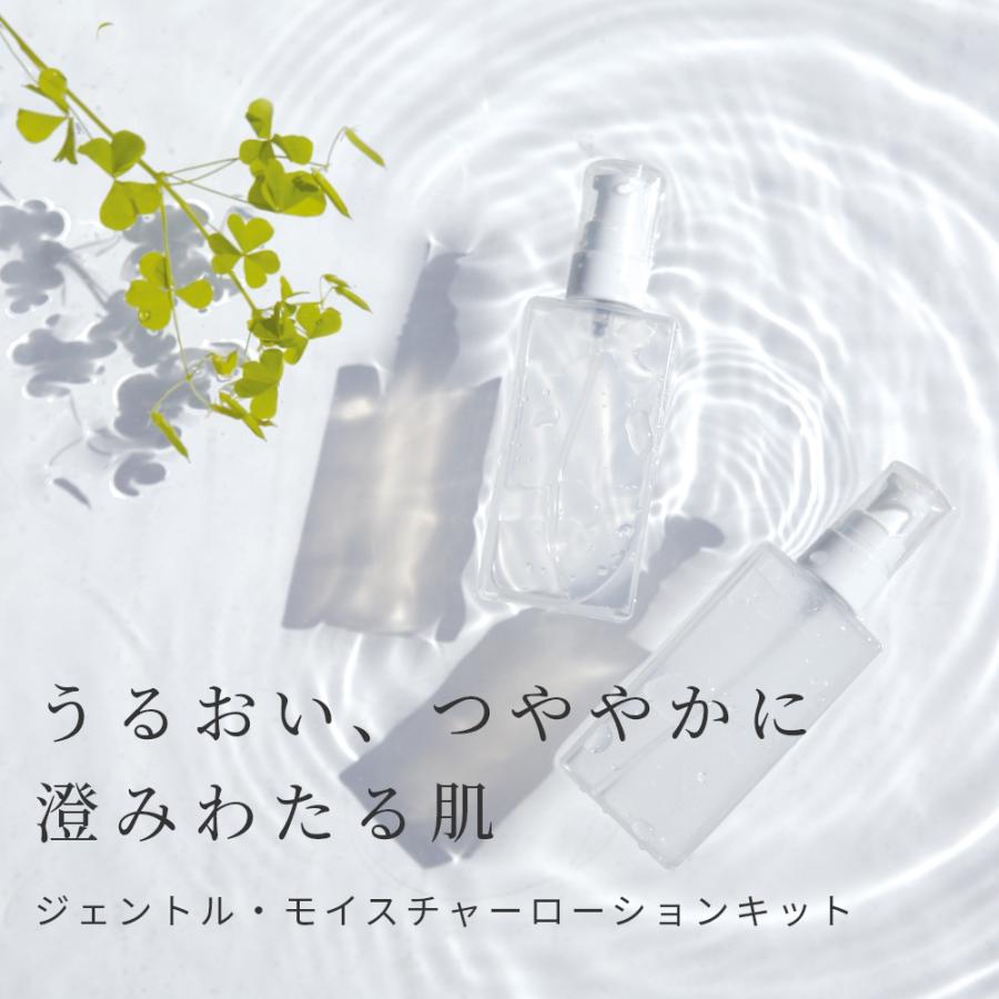 ヒアルロン酸高濃度配合 ジェントル・モイスチャーローション フルセット 手づくりコスメキット／1個 初心者向け 爆買 |  | 09