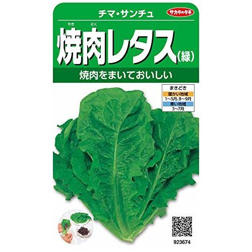 実咲野菜 人気No.1 レタス 焼肉レタス 小袋003034 チマサンチュ 格安人気