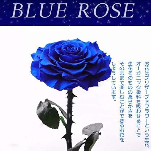 可愛い 花 薔薇 ローズ ブルー バラ プリザーブドフラワー ガラスドーム きれい ロマンティック ブリザードフラワー 木製ベース Ledライト付き プリペイドカード コード販売 数量限定セール Themtransit Com