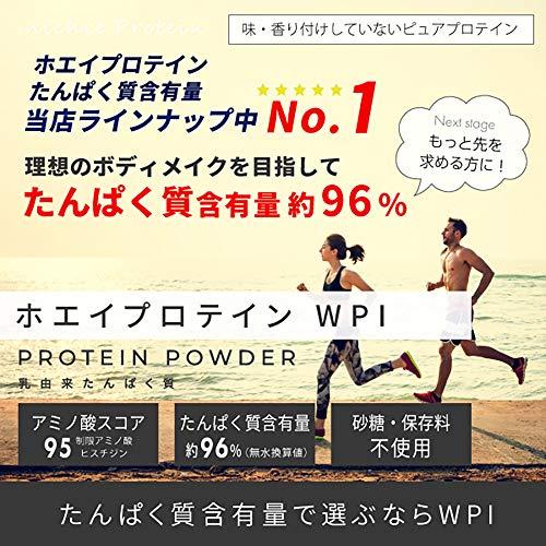 nichie ホエイプロテイン WPI たんぱく質約96%(無水換算) プレーン 1kg｜mmp-shop｜04