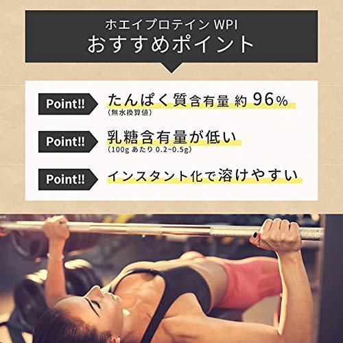 nichie ホエイプロテイン WPI たんぱく質約96%(無水換算) プレーン 1kg｜mmp-shop｜05