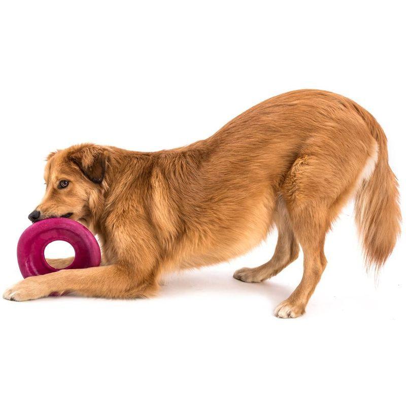 West Paw ゾゴフレックス エア ダッシュ 犬 おもちゃ ペット用品 犬 フリスビー 投げるおもちゃ 犬用品 フライングディスク 水に